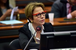 A deputada Tereza Cristina (DEM), presidente da FPA (Foto: Zeca Ribeiro/Câmara dos Deputados) (Adriano Machado/Reuters)